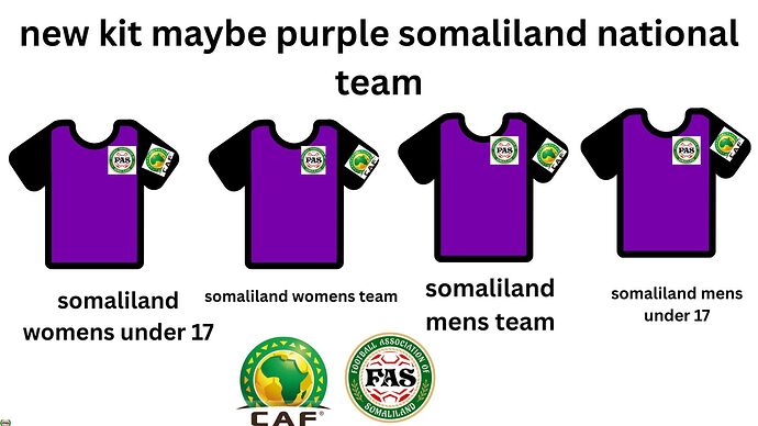 new kit maybe purple somaliland national team