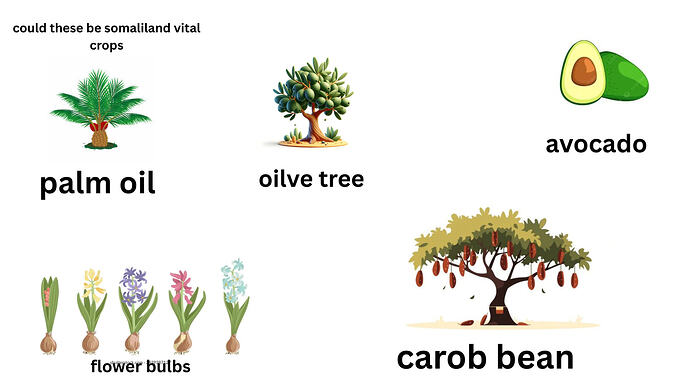 palm oil